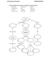 First, plant cells are bounded by a cell membrane and a rigid cell wall, whereas animal cells have only a cell membrane to protect their insides from the outside environment. Cell Structures And Concept Mapping With Answers Key Docsity