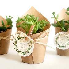 Www Trendipot Com Succulent Cactus Sukulent Kaktus Babyshower Nikah Bitkisi Nikah Hediyesi Nikah Succulent Wedding Favors Succulent Favors Wedding Plants