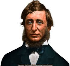 Ellen DeGeneres and Henry David Thoreau Ellen Degeneres's identical twin is  Henry David Thoreau, an American author, poet, and philosopher born in 1817  in Concord, MA. We don't like comparing her to