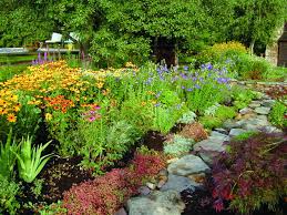 The plants spread by rhizomes and grow tightly bunched together. Late Summer Color In Your Vermont Landscape Di Stefano Landscaping