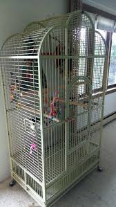 Bird Cages For Sale Near Me Large Bird Cage Parrot Large Bird Cages Parrot Cage Bird Cage Bird Baths