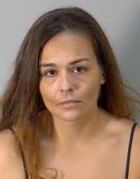 Leesburg woman arrested again with kids in her car