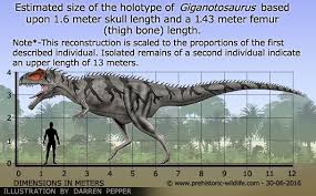 Giganotosaurus Prehistoric Wildlife Prehistoric Animals Dinosaur