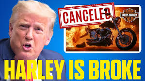 La Marmotte 2009 (Bert Dekker, Galibier)