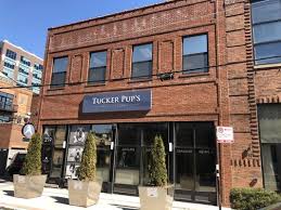 We offer multiple puppy classes each week including puppy playtime, puppy enrichment, urban pooch puppy fundamentals, junior dog and puppy agility! Tucker Pup S Pet Resort 132 Photos 757 Reviews Pet Training 219 N Carpenter St Chicago Il Phone Number Yelp