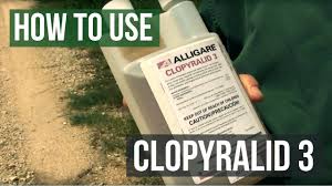 Kevin bradley shares information on soybean injury and yield. How To Kill Weeds With Clopyralid 3 Herbicide Youtube