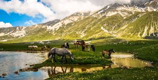 Il comprensorio … comprensorio campo felice. Campo Imperatore Cosa Vedere E Le Attivita Da Fare