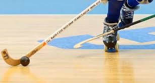 Hóquei em patins classificações resultados proximos resumos 2020/2021 2019/2020 2018/2019 2017/2018 2016/2017 2015/2016 2014/2015 2013/2014 2012/2013 2011/2012 2010/2011 C F Carvalheiro Vs C S Maritimo Hoquei Em Patins Naminhaterra Tv Eventos Em Direto