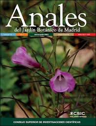 Image result for Sopubia angolensis