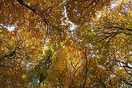 Auf diese frage gibt es wie so oft natürlich gleich mehrere in der meteorologie ist es relativ einfach: Jahreszeit Wikipedia