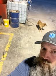 The Queen! Gypsy Queen! 👑🐕🤎👑