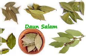 Gunakan daun bidara untuk mengatasi masalah kulit meradang dan iritasi. Kupas Tuntas 40 Manfaat Daun Salam Diedit Com