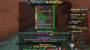The cause could be a slow dns name server. Famous Og Names On Hypixel Hypixel Minecraft Server And Maps