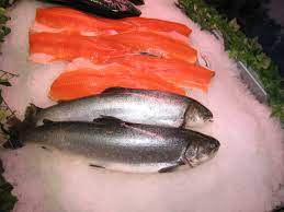 Arctic Charr Noble Fish For Demanding Markets Eurofish Magazine