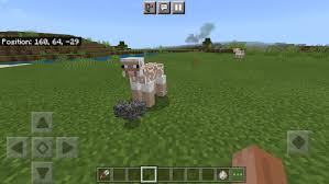 By shearing sheep you do not have to kill them to get wool and you will get 1 to 3 wool blocks per shearing. Minecraft But Shearing Sheep Give Op Items Minecraft Pe Mods Addons