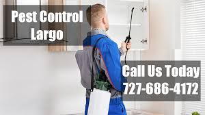 Do it yourself pest control 2560 sunset point rd clearwater fl 33765. Clearwater Pest Control Emergency Domestic Exterminators Local Pest Control Services Largo