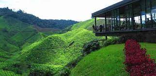 (updated) senarai tempat menarik cameron highlands terkini 2020. 20 Tempat Menarik Di Cameron Highland Pahang 2021