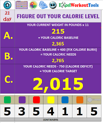 21 Day Fix Excel Workout Tools 21 Day Fix Calculator 21 Day Fix Challenge 21 Day Fix