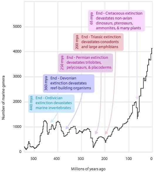 Extinction - Understanding Global Change