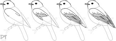 Bird With Wings Spread Drawing Easy Step 11 How To Draw Bird Wings Bird Drawings Wings Drawing Easy Drawings