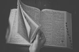 Sejarah Perkembangan Bahasa Indonesia Singkat Jelas Dan Padat Salamadian