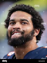 wulf hi-res stock photography and images