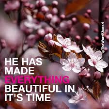 Image result for images Everything Beautiful in His Time