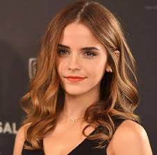 Qual origem das akumas no mi?