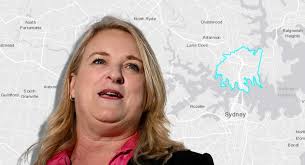 Forget the Frontbench: What's the deal with Fowler MP Dai Le?