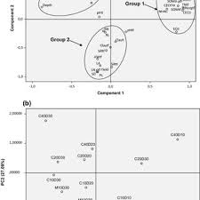 Vermicomposting is done under thatched roof to protect worms against rain and sun. Pdf Effects Of Compost And Manure Application Rate On The Soil Physico Chemical Layers Properties And Plant Productivity
