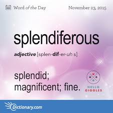 Splendiferous Word Of The Day Dictionary Com Words Uncommon Words Dictionary Words