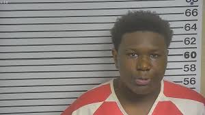 Beagles rescued from laboratory set to be adopted