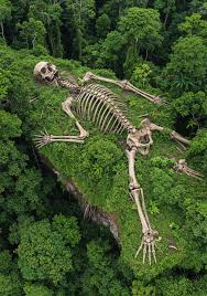 Is giant skeleton in Amazon jungle real or hoax?