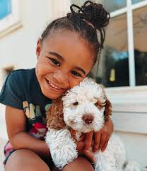 Rollins Goldendoodles