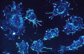 These identities are very intuitive and give much heed to sentiments. Diverse Drug Resistant Cancer Cells Share A Hidden Weakness