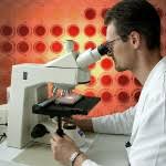 Listeria monocytogenes has also been associated. Bfr Assessment Of Microbial Risks In Foods