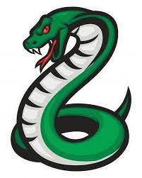 Mascote Cobra Cobra Snake Illustration Cobra Snake Snake Sketch
