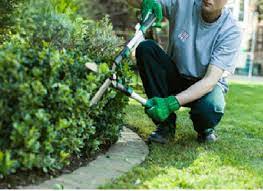 Places near greenwood, in with lawn care. Gardening Services Garden Services Garden Maintenance Lawn Care Business