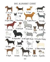 Dog Alphabet Chart Art Print In 2019 Dog Breeds Chart Dog