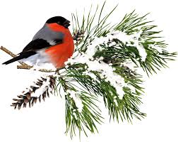 Картинки по запросу зимнего настроения