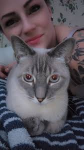 What is my cat's gender?