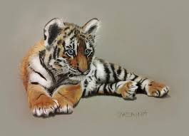 How to draw a tiger cubcoloring pages for kids | super simple|animal. Kawai Gift Tiger Cubs Cute Pencil Drawings Of Animals