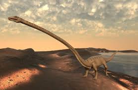 Image result for Tanystropheus