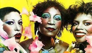 Erik Rothman's Instagram, Twitter & Facebook