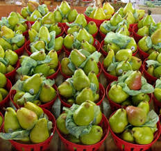Check spelling or type a new query. Fruit Cultivation The Canadian Encyclopedia