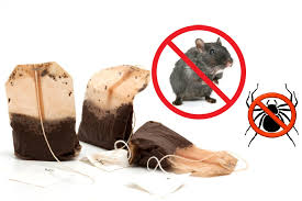 مكون سحري في أكياس الشاي يخلصك من الفئران تماما ثقف نفسك