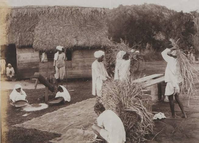 Indentured Workers and Anti-Colonial Resistance in the British Empire