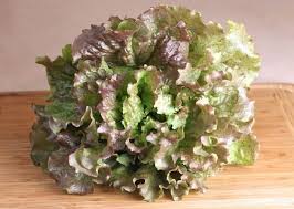 Growing lettuce in central texas is fairly easy, although it isn't a hardy plant like spinach when it comes to frost but it does have some light frost resistant properties. Best Fruits And Vegetables To Grow In Central Texas Barton Hill Farms