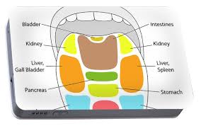 tongue reflexology chart portable battery charger