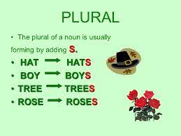 Plural The Plural Of A Noun Is Usually S Forming By Adding S Hat Hats Hat Hats Boy Boys Boy Boys Tree Treestree Trees Rose Rosesrose Roses Ppt Download